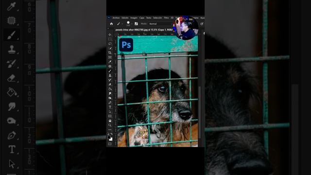 Photoshop Quitar objeto Rejas смотреть онлайн