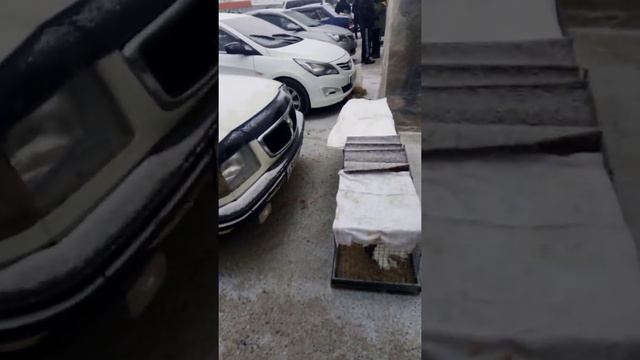 голубиный рынок город шахты расстовская облосьть🕊️🕊️🕊️ смотреть онлайн