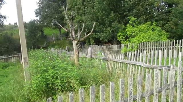 Дом-дача Гринцевых в деревне Феньково смотреть онлайн