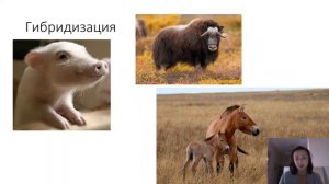 Селекция как наука. Методы селекции.