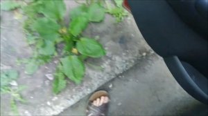 НЕ ВОЗВРАЩАЮТСЯ РЕМНИ БЕЗОПАСНОСТИ! РЕШЕНИЕ ЕСТЬ! Opel Corsa C