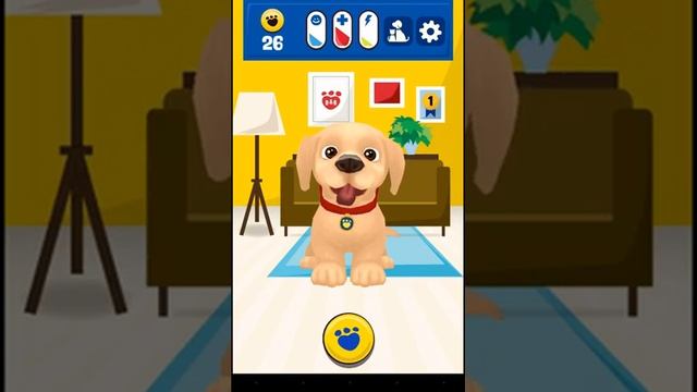 Promise pets game смотреть онлайн