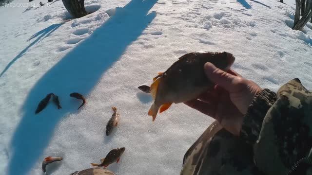Рыбалка 27.02.2022г.!