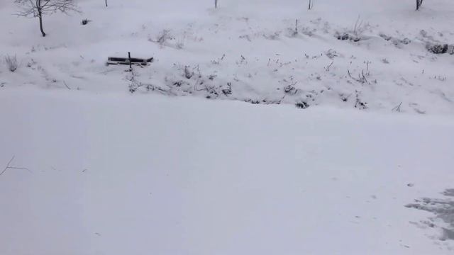 Замор рыбы! Как избежать ЗАМОРА рыбы зимой. ЭКСТРЕННОЕ СПАСЕНИЕ рыбы от ЗАМОРА!!! Пруд на даче. смотреть онлайн