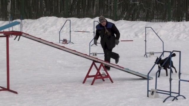 Соревнования по аджилити 09.03.13 г., СПб, Пискаревская v15 смотреть онлайн