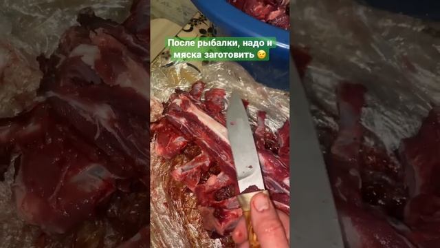 Немножко лося прибежало #лосятина #охотник #охота #дичь #мясо смотреть онлайн