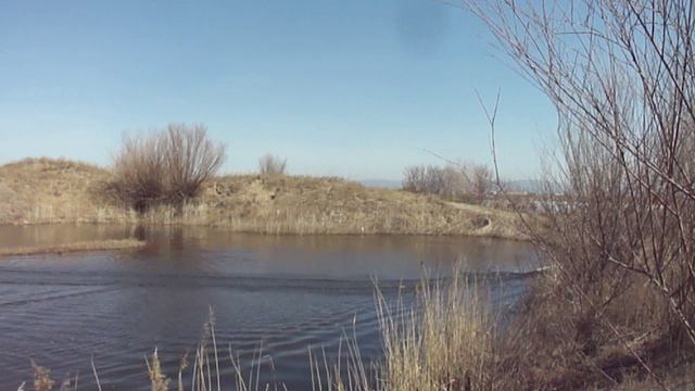 Катер с водометом смотреть онлайн