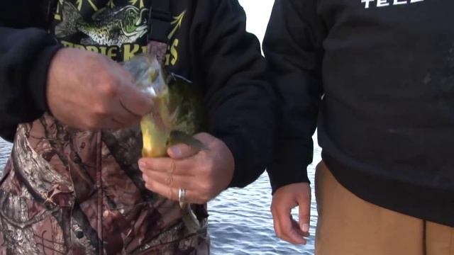 GIANT BLACK CRAPPIE OF ONTARIO- Full length eps. смотреть онлайн