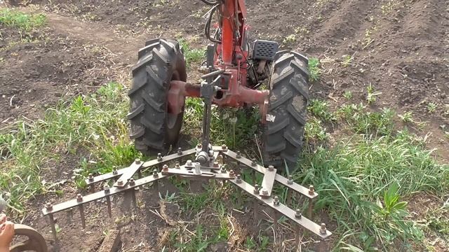 Огородно-земляные работы.Бороним картошку мотоблоком МТЗ с самодельной бороной. смотреть онлайн