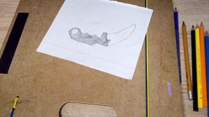 how to draw a karambit marble gradient & Как нарисовать керамбит мраморный градиент & standoff2