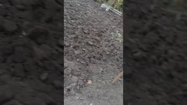 TAG:Подготовка к зиме(дача) смотреть онлайн