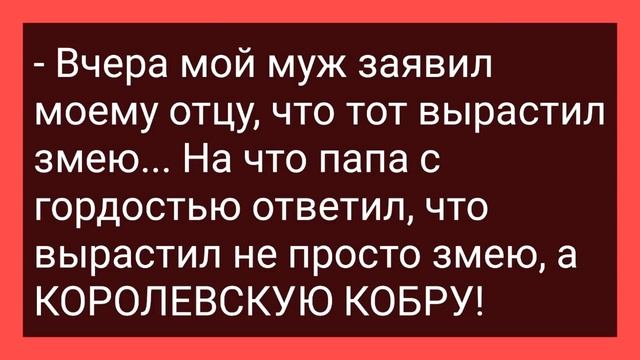 Пухлая Мадам Трется об Мужика в Баре! Сборник Смешных Свежих Жизненных Анекдотов для Настроения!