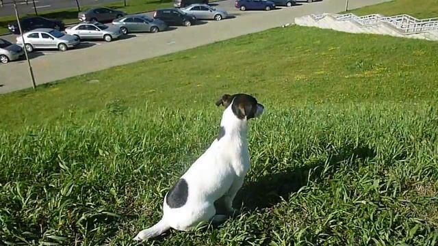 Минск. Вид на проспект Машерова с холма! 1.08.2013. Беларусь смотреть онлайн