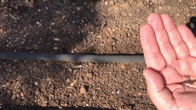 Planting Red Cabbage in a Raised Bed смотреть онлайн