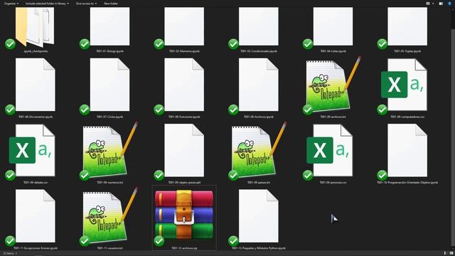 Pandas Taller: 222 Listar Contenido de un Archivo Zip con la Función namelist() de la Clase ZipFile смотреть онлайн
