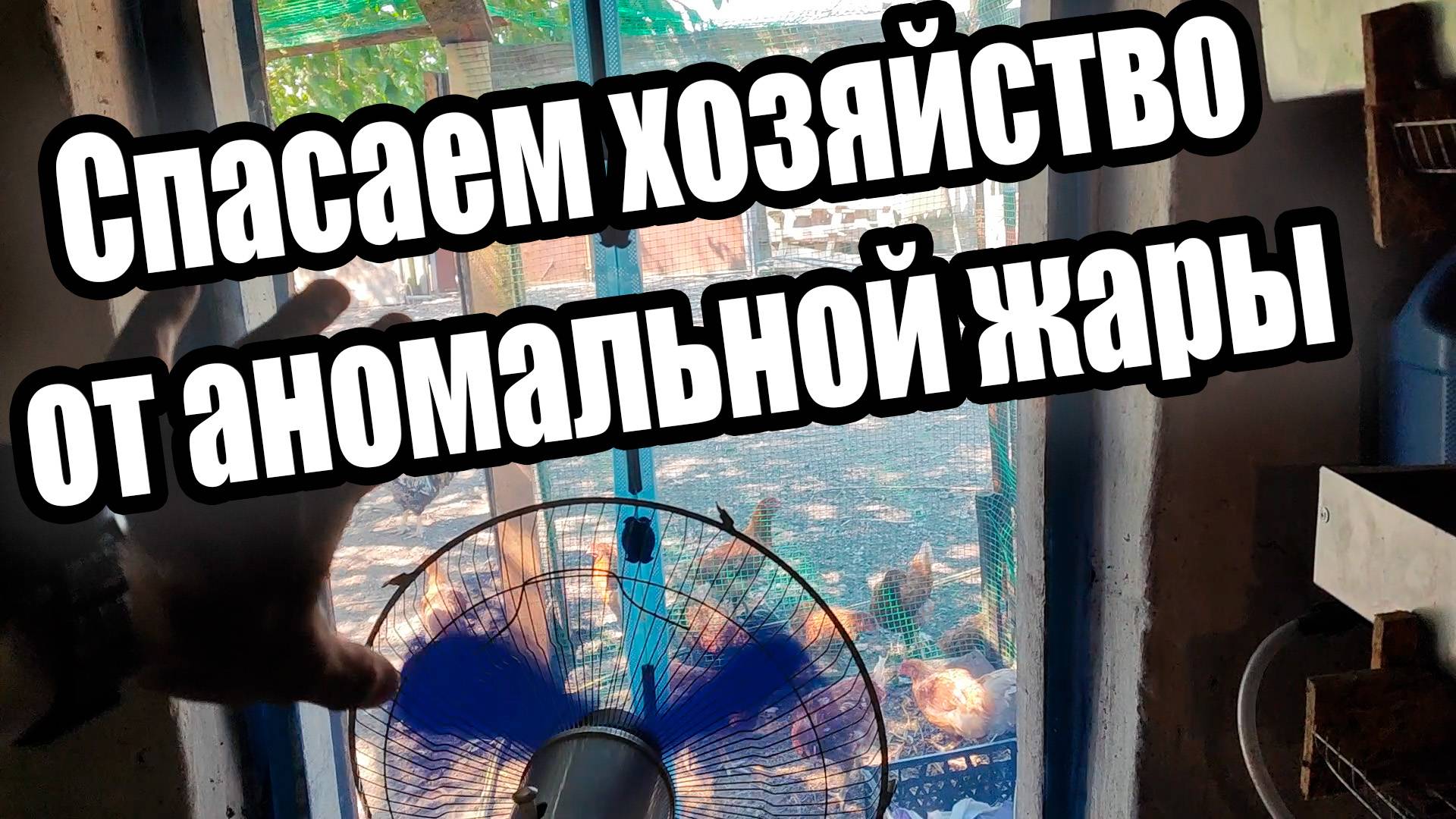 Спасаем хозяйство от аномальной жары смотреть онлайн