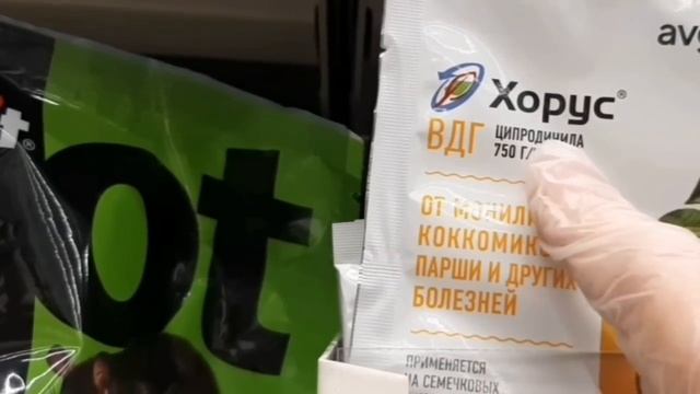 В ЛЕРУА МЕРЛЕН завезли РОЗЫ ! смотреть онлайн