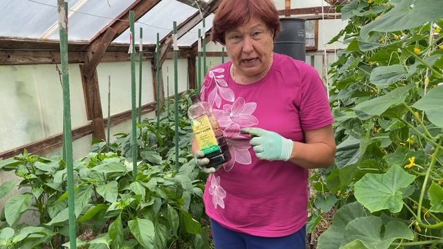 ВАЖНАЯ ПОДКОРМКА ОВОЩЕЙ/ЧТО ПОСАДИТЬ В ИЮЛЕ смотреть онлайн