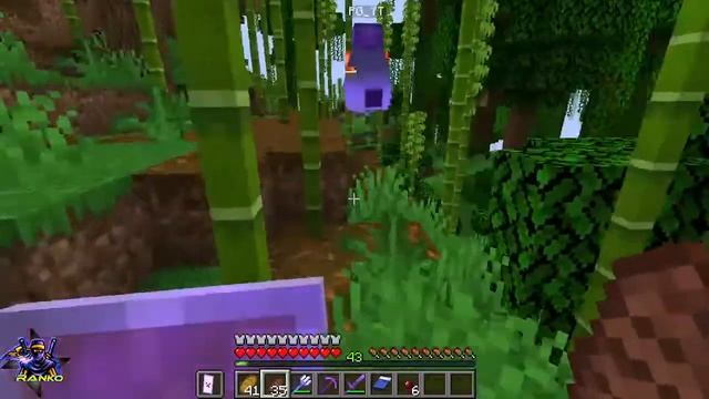 WE ARE BACK AGAIN WITH MINECRAFT LIVE | JAVA VERSION 1.19.2 | RANKOYT смотреть онлайн