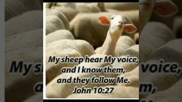 Moenie Buite Jou Autoriteit Optree Nie