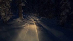 Охота на соболя. Сезон2. Пятая проверка.