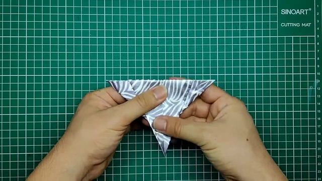 Origami: Zebra