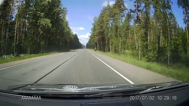 Лениградская обл. Сосново Двойная сплошная смотреть онлайн
