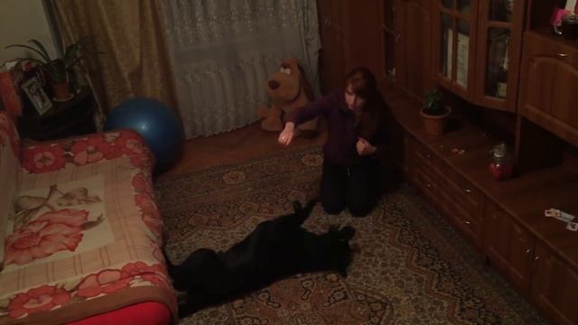 Обучение команды "Умри" смотреть онлайн