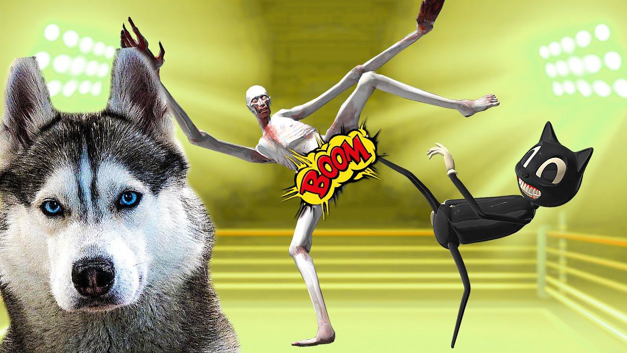 ХАСКИ БАНДИТ ВСЕ SCP СЕРИИ ПОДРЯД!! (Хаски Бандит) Говорящая собака смотреть онлайн