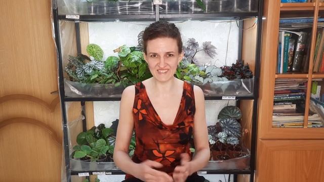 Дальнейшая судьба моей коллекции растений смотреть онлайн