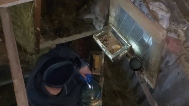 СЮРПРИЗ от крольчихи. Будни кроликовода. смотреть онлайн