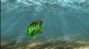 Гимнастика для глаз