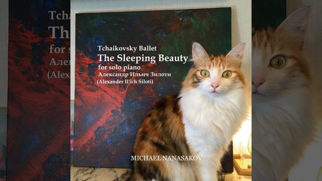 The Sleeping Beauty, Op. 66: XIII. Farandole: Scène - Danse (Trans. for Solo Piano) смотреть онлайн