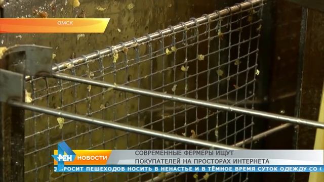 Современные фермеры ищут покупателей на просторах интернета смотреть онлайн