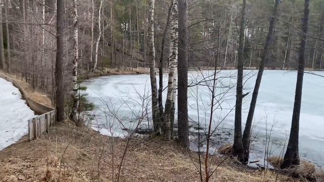 ОБЗОР СПА ОТЕЛЯ АВРОРА под САНКТ ПЕТЕРБУРГОМ ( в сторону Выборга , в прекрасном лесу) смотреть онлайн