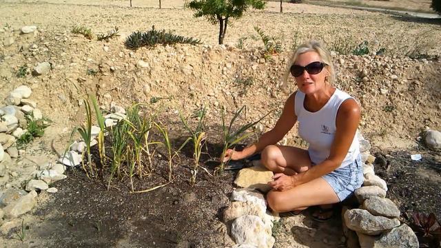 60. Restoration of a derelict Finca in Spain - A frustrating day waiting for the solar batteries. смотреть онлайн