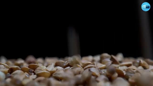 Польза и вред всеми любимой ГРЕЧКИ! смотреть онлайн