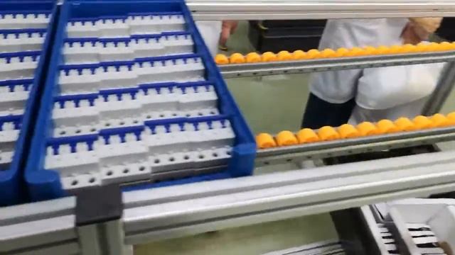 Как на Курском электроаппаратном заводе (КЭАЗ) собирают выключатели смотреть онлайн