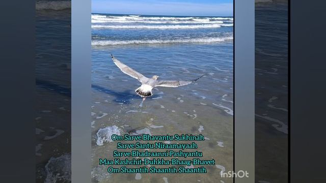 Sarve Bhavantu Sukhinah. Shanti mantra with lyrics and meanings. смотреть онлайн