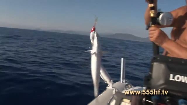 Ловим дорадо и тунца на Средиземном море. Часть 8. смотреть онлайн