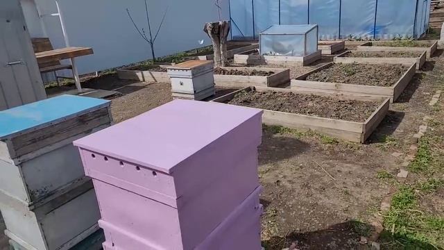 Моё любимое занятие \ Красим \ Строим \ Жизнь в селе смотреть онлайн