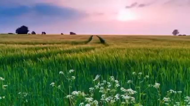 Истории из жизни. Искупить вину. Жизненные истории. Рассказы из жизни. смотреть онлайн