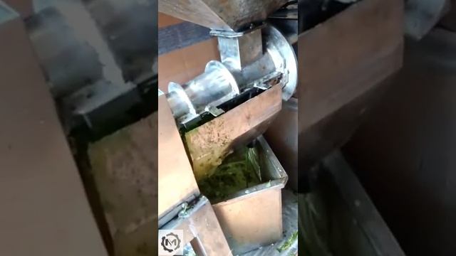 Green Leaf Single Screw Juice Extractor in Affordable Price~Portable Type~Easy to Clean~9061475004 смотреть онлайн