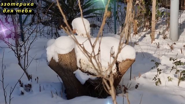 Сегодня 3 февраля прибыльный день, нарисуйте эту цифру на руке. Лунный день. Послание. Карта Таро смотреть онлайн