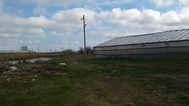 Я гуляю по даче.|Наш дачный переулок.|Речка,пруды,теплицы,и многое другое|Like Aishat.♡☆☆☆☆☆☆☆☆☆☆☆☆