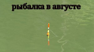 РЫБАЛКА НА ПОПЛАВОК В АВГУСТЕ