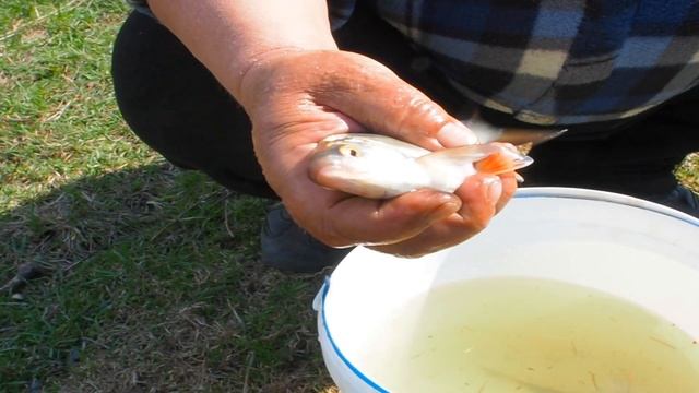 ЧТО ПРИГОТОВИТЬ НА ПРИРОДЕ, КАК ПРОВОДЯТ ВРЕМЯ ПЕНСИОНЕРЫ НА ПЕНСИИ, КОЛБАСЯСКА ПО-РУССКИ смотреть онлайн