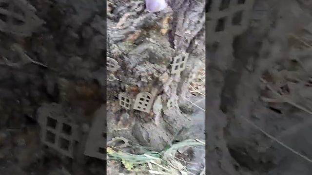 Здравствуйте, я ваша роза! Открытый грунт, кашпо и феи)) смотреть онлайн