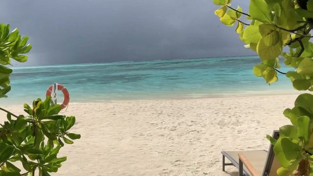 Отзывы о Cocoon Maldives 5* смотреть онлайн