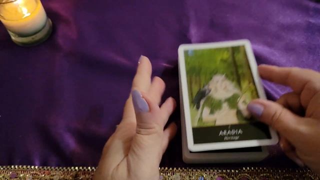 ? The WITCHES Oracle ? Deck Unboxing, Walk through & Review #tarot #oracle #unboxing смотреть онлайн